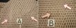 画像8: E1102N 小紋 女性用着物 シルク（正絹）  スモーキーな トープ 幾何学模様 【中古】 【USED】 【リサイクル】 ★★★☆☆ (8)