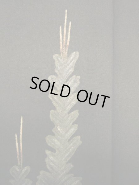 画像5: E1111T 留袖 女性用着物 シルク（正絹）   黒 松/松葉 【中古】 【USED】 【リサイクル】 ★☆☆☆☆ (5)