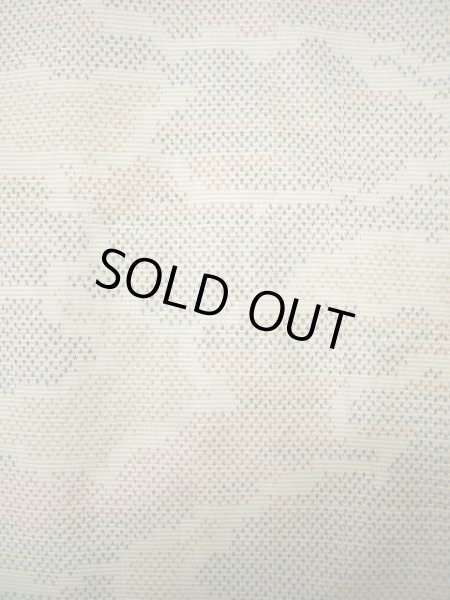 画像6: F0422V 紬 女性用着物 シルク(正絹)  クリーミーな ベージュ 雲 【中古】 【USED】 【リサイクル】 ★★★★☆ (6)