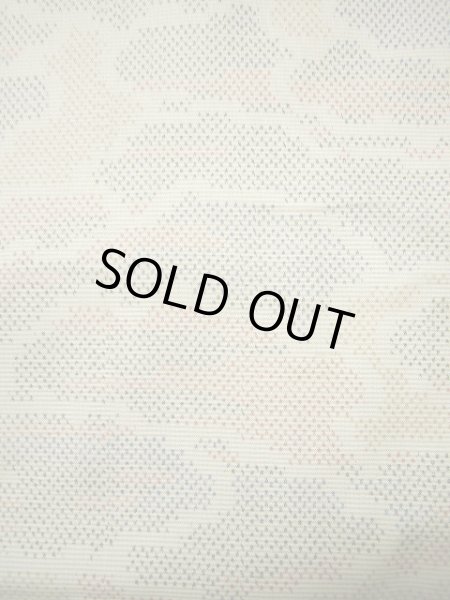 画像8: F0422V 紬 女性用着物 シルク(正絹)  クリーミーな ベージュ 雲 【中古】 【USED】 【リサイクル】 ★★★★☆ (8)