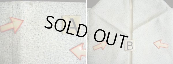 画像12: G0302X 小紋 女性用着物  シルク（正絹）  スモーキーな オフ　ホワイト, 梅 【中古】 【USED】 【リサイクル】 ★★★☆☆ (12)