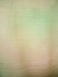 画像8: G0605R 紬 女性用着物  シルク（正絹） 淡い 白みのある グリーン（緑）, ぼかし 白みのある【中古】 【USED】 【リサイクル】 ★★☆☆☆ (8)