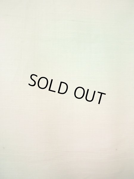 画像8: G0605R 紬 女性用着物  シルク(正絹) 淡い 白みのある グリーン(緑), ぼかし 白みのある【中古】 【USED】 【リサイクル】 ★★☆☆☆ (8)