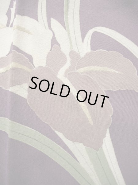 画像20: G1027L 訪問着 女性用着物 錦紗縮緬　 シルク（正絹）   藤, 桜 【中古】 【USED】 【リサイクル】 ★★☆☆☆ (20)