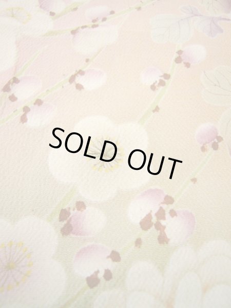 画像15: H1025A 留袖 女性用着物  シルク(正絹)   オフ ホワイト, 鶴 【中古】 【USED】 【リサイクル】 ★☆☆☆☆ (15)