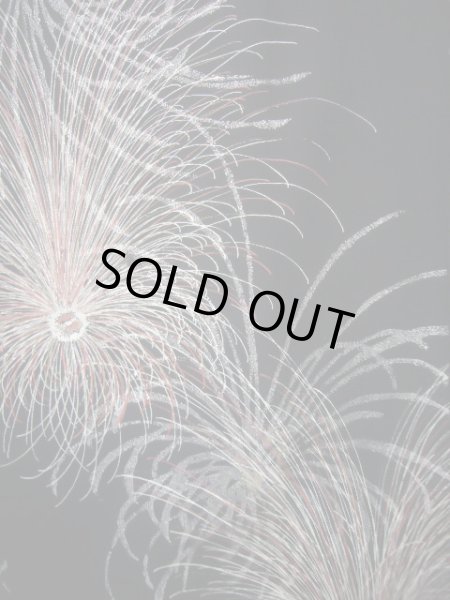 画像4: J0808C 羽織 女性用着物  シルク(正絹) ダークな  黒, 菊 【中古】 【USED】 【リサイクル】 ★★★★☆ (4)