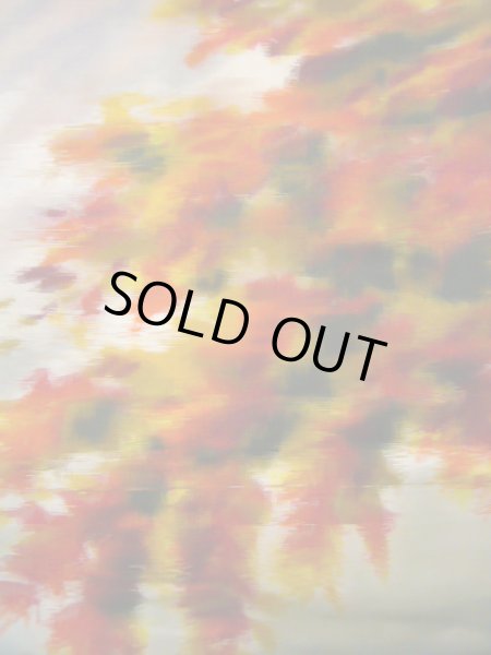 画像6: J0808W 羽織 女性用着物  シルク(正絹) スモーキーな  マルチカラー, 風景 【中古】 【USED】 【リサイクル】 ★☆☆☆☆ (6)