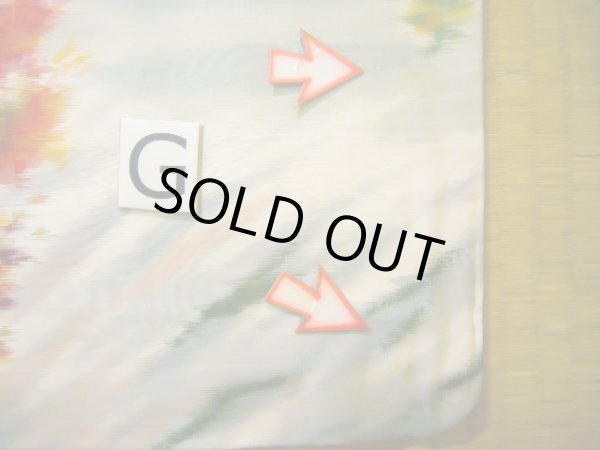 画像17: J0808W 羽織 女性用着物  シルク(正絹) スモーキーな  マルチカラー, 風景 【中古】 【USED】 【リサイクル】 ★☆☆☆☆ (17)