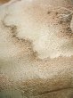 画像16: J0911V 半幅帯  女性用着物 シルク（正絹） スモーキーな   葉  , リバーシブル【中古】 【USED】 【リサイクル】 ★★☆☆☆ (16)