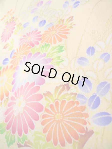 画像26: J1111K Mint  子供用 女性用着物 手描き友禅 化繊 淡い 薄い クリーム, ぼたん 【中古】 【USED】 【リサイクル】 ★★★★☆ (26)