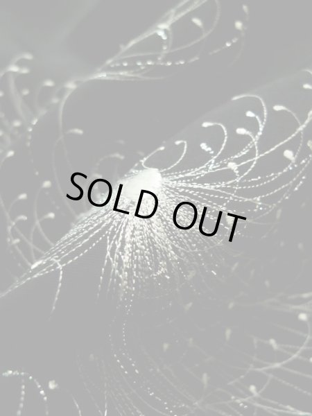 画像12: K0203N  羽織 女性用着物  化繊   黒, 菊 【中古】 【USED】 【リサイクル】 ★★★☆☆ (12)