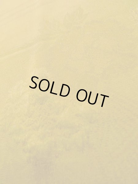 画像9: K0616R  羽織 女性用着物 桐、桔梗、流水、えがすみ、御所車の地紋 シルク(正絹)   山吹,  【中古】 【USED】 【リサイクル】 ★★☆☆☆ (9)