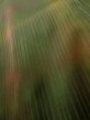 画像9: K0715B  道行 女性用着物  シルク（正絹） 淡い  グリーン（緑）, チェック柄 【中古】 【USED】 【リサイクル】 ★☆☆☆☆ (9)