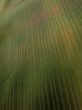 画像10: K0715B  道行 女性用着物  シルク（正絹） 淡い  グリーン（緑）, チェック柄 【中古】 【USED】 【リサイクル】 ★☆☆☆☆ (10)