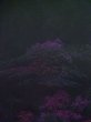 画像4: K1008L  羽織 女性用着物  シルク（正絹）   黒, 山 【中古】 【USED】 【リサイクル】 ★★★☆☆ (4)