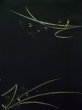 画像5: K1008N  羽織 女性用着物  シルク（正絹）   黒, 花 【中古】 【USED】 【リサイクル】 ★★★☆☆ (5)