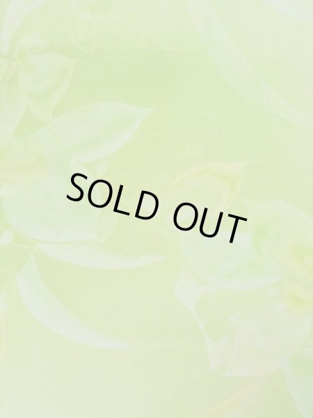 画像8: L0120D  小紋 女性用着物  シルク（正絹） シャイニーな クリーミーな 黄緑色, 花 【中古】 【USED】 【リサイクル】 ★★☆☆☆ (8)