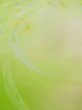 画像10: L0120D  小紋 女性用着物  シルク（正絹） シャイニーな クリーミーな 黄緑色, 花 【中古】 【USED】 【リサイクル】 ★★☆☆☆ (10)