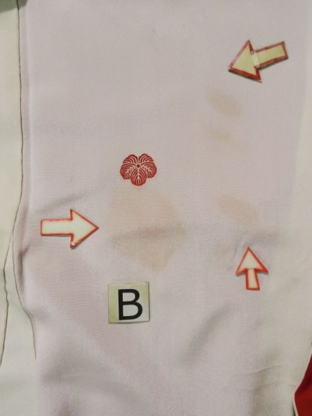 画像21: L0204A  留袖 女性用着物  シルク(正絹)   白, 梅 【中古】 【USED】 【リサイクル】 ★★☆☆☆ (21)