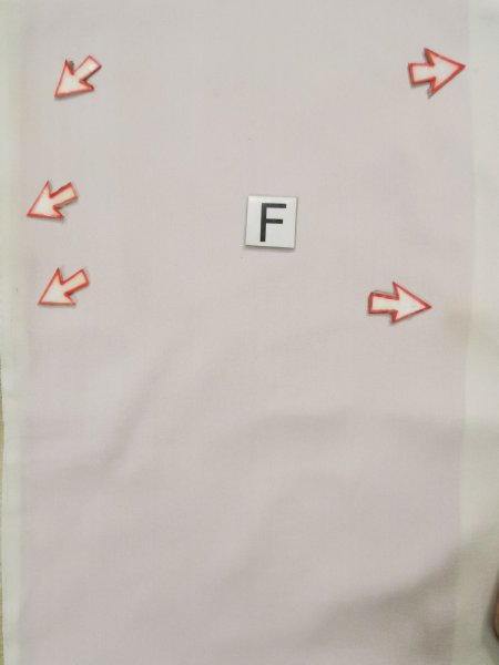 画像25: L0204A  留袖 女性用着物  シルク(正絹)   白, 梅 【中古】 【USED】 【リサイクル】 ★★☆☆☆ (25)