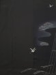 画像14: L0204C  留袖 女性用着物  シルク（正絹）   黒, 松/松葉 【中古】 【USED】 【リサイクル】 ★★★☆☆ (14)