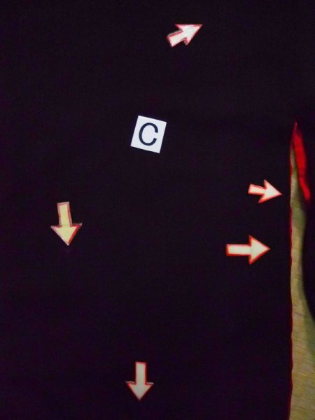 画像21: L0204G  留袖 女性用着物  シルク(正絹)   黒, 松/松葉 【中古】 【USED】 【リサイクル】 ★★☆☆☆ (21)