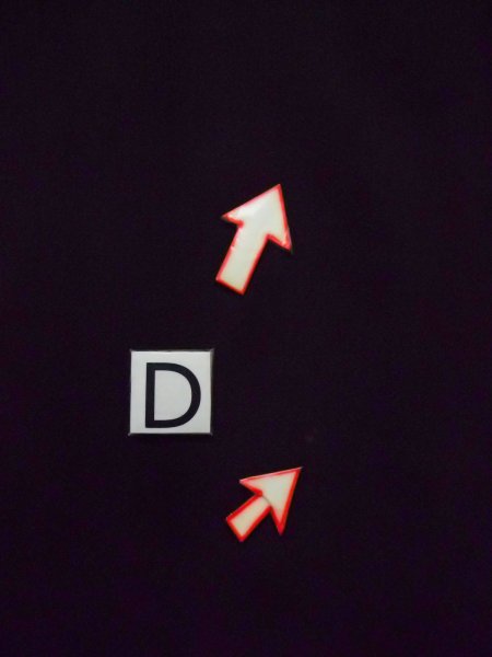 画像22: L0204G  留袖 女性用着物  シルク(正絹)   黒, 松/松葉 【中古】 【USED】 【リサイクル】 ★★☆☆☆ (22)