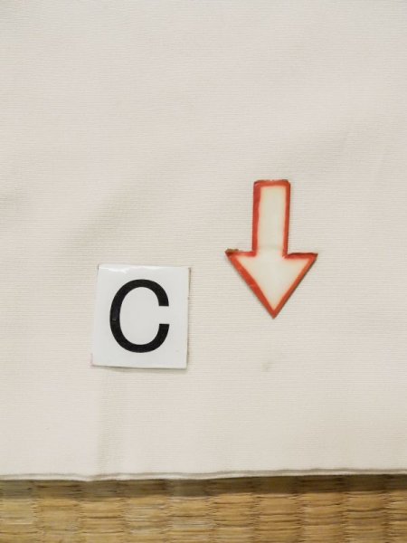 画像19: L0316G  訪問着 女性用着物  シルク(正絹)   オフ ホワイト, 菊 【中古】 【USED】 【リサイクル】 ★★☆☆☆ (19)