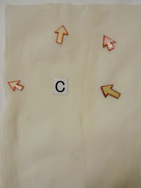 画像16: L0406G  襦袢 女性用着物 使用感あり。 麻   オフ ホワイト,  【中古】 【USED】 【リサイクル】 ★☆☆☆☆ (16)