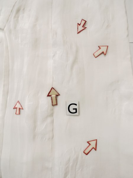 画像20: L0406I  襦袢 女性用着物  麻   オフ ホワイト,  【中古】 【USED】 【リサイクル】 ★☆☆☆☆ (20)