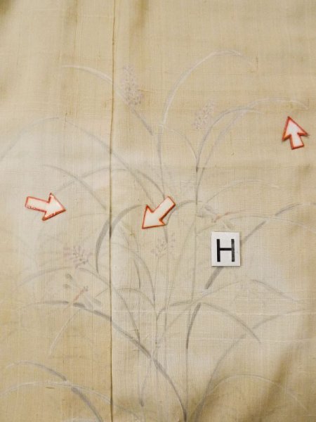 画像24: L0511G  L0511G 訪問着 女性用着物 トンボ柄、ほつれ、裂けあり、ウールと麻のような手触りです。 不明   ベージュ, 草 【中古】 【USED】 【リサイクル】 ★☆☆☆☆ (24)