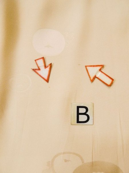 画像16: L0511R  L0511R 訪問着 女性用着物 屏風柄、汚れ/染みあり シルク（正絹） 淡い 赤み 橙色, 菊 【中古】 【USED】 【リサイクル】 ★☆☆☆☆ (16)