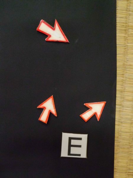 画像17: L0630S  男性用着物 男性用着物  シルク(正絹)   黒,  【中古】 【USED】 【リサイクル】 ★★★☆☆ (17)