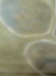 画像5: L0706Y 名古屋帯 女性用着物 シルク（正絹） 淡い 灰色がかった 黄緑色 ぼかし 【中古】 【USED】 【リサイクル】 ★★★☆☆ (5)