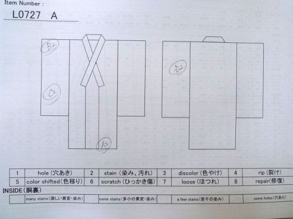 画像20: L0727A  振袖 女性用着物  シルク(正絹) 淡い 薄い マルチカラー, 花 【中古】 【USED】 【リサイクル】 ★★★☆☆ (20)