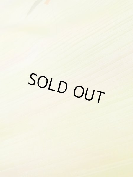 画像10: L0907B Mint  羽織 女性用着物  化繊 淡い 薄い 黄色, 葉 薄い【中古】 【USED】 【リサイクル】 ★★★★☆ (10)