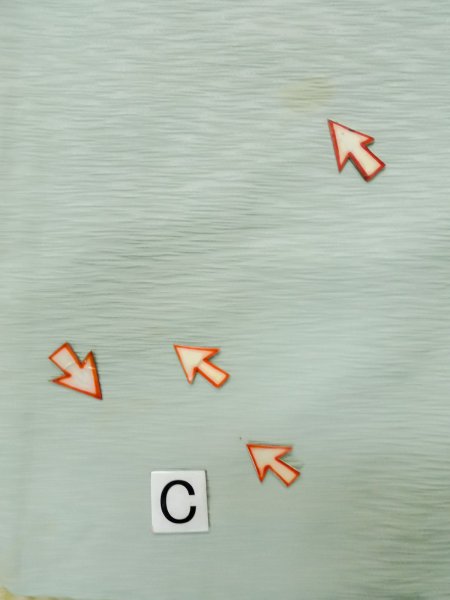 画像15: L0907Q  羽織 女性用着物  シルク(正絹)  淡い 水色, 抽象的模様 【中古】 【USED】 【リサイクル】 ★★☆☆☆ (15)