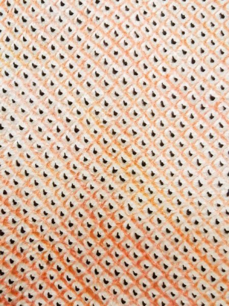 画像6: L0914U Mint  羽織 女性用着物  シルク(正絹) 淡い 薄い 珊瑚色, かのこ 【中古】 【USED】 【リサイクル】 ★★★★☆ (6)