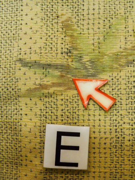 画像17: L1019M  紬 女性用着物  シルク(正絹)   アイボリー, 笹 【中古】 【USED】 【リサイクル】 ★★☆☆☆ (17)