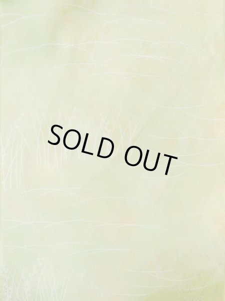 画像4: L1026O Mint  羽織 女性用着物  シルク（正絹）  淡い 黄緑色, 草 【中古】 【USED】 【リサイクル】 ★★★★☆ (4)