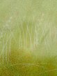 画像5: L1026O Mint  羽織 女性用着物  シルク（正絹）  淡い 黄緑色, 草 【中古】 【USED】 【リサイクル】 ★★★★☆ (5)