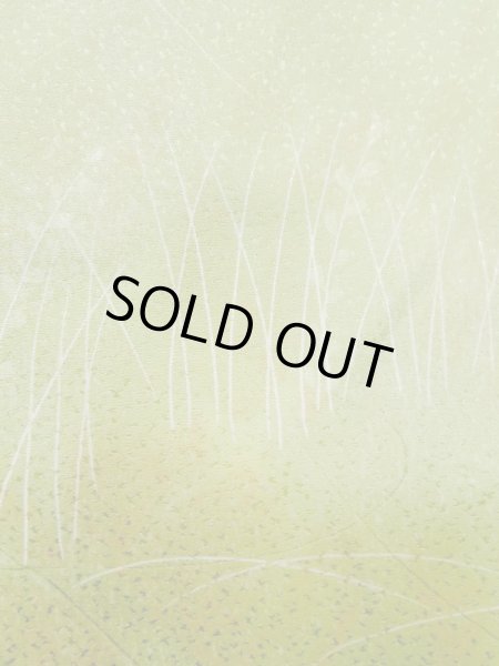 画像5: L1026O Mint  羽織 女性用着物  シルク（正絹）  淡い 黄緑色, 草 【中古】 【USED】 【リサイクル】 ★★★★☆ (5)