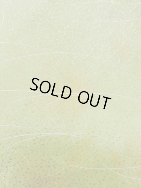 画像6: L1026O Mint  羽織 女性用着物  シルク（正絹）  淡い 黄緑色, 草 【中古】 【USED】 【リサイクル】 ★★★★☆ (6)