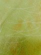 画像7: L1026O Mint  羽織 女性用着物  シルク（正絹）  淡い 黄緑色, 草 【中古】 【USED】 【リサイクル】 ★★★★☆ (7)