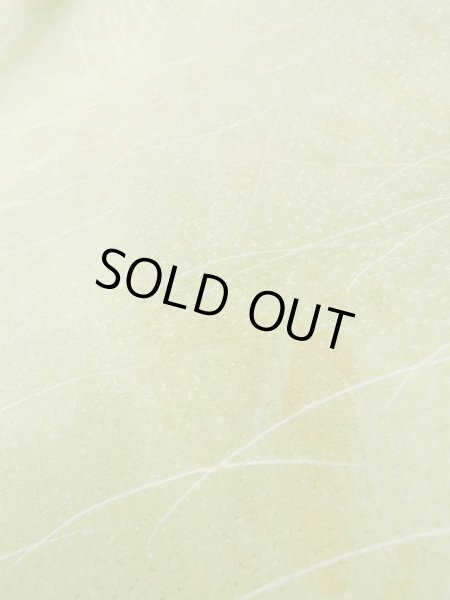 画像8: L1026O Mint  羽織 女性用着物  シルク（正絹）  淡い 黄緑色, 草 【中古】 【USED】 【リサイクル】 ★★★★☆ (8)