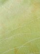 画像9: L1026O Mint  羽織 女性用着物  シルク（正絹）  淡い 黄緑色, 草 【中古】 【USED】 【リサイクル】 ★★★★☆ (9)