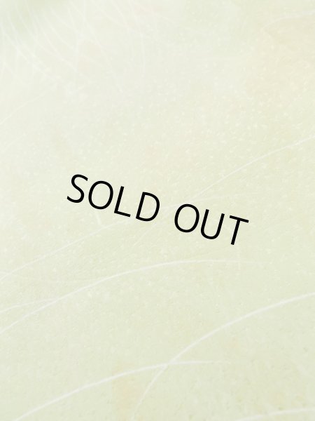 画像9: L1026O Mint  羽織 女性用着物  シルク（正絹）  淡い 黄緑色, 草 【中古】 【USED】 【リサイクル】 ★★★★☆ (9)