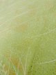 画像10: L1026O Mint  羽織 女性用着物  シルク（正絹）  淡い 黄緑色, 草 【中古】 【USED】 【リサイクル】 ★★★★☆ (10)