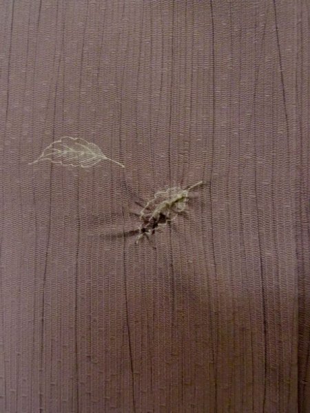 画像6: L1027B  羽織 女性用着物  シルク(正絹)  淡い 紫色, 葉 【中古】 【USED】 【リサイクル】 ★★★☆☆ (6)