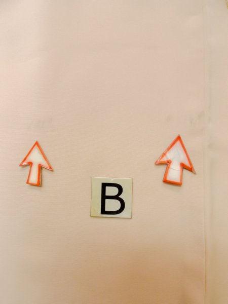 画像15: L1027D  羽織 女性用着物 熨斗 シルク(正絹) 淡い 薄い 桃色, 菊 【中古】 【USED】 【リサイクル】 ★★☆☆☆ (15)